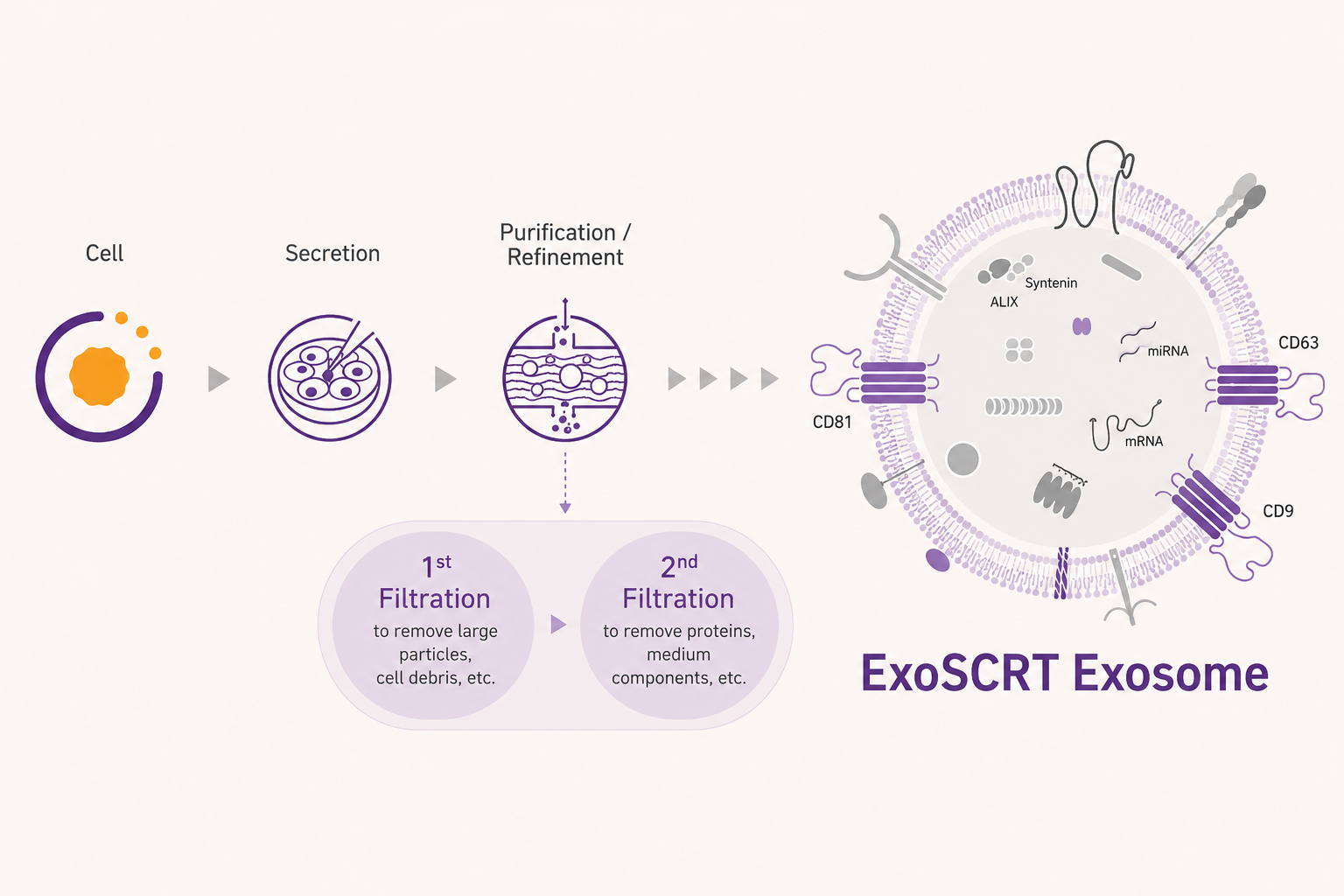 ExoSCRT 정제 기술