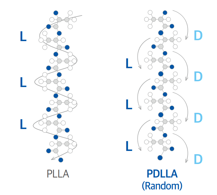PDLLA 입자 구조